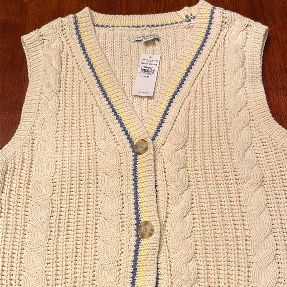 American Eagle Outfitters Sweaters - NWT American Eagle Outfitters Cream and Blue V-Neck Sweater Vest Medium